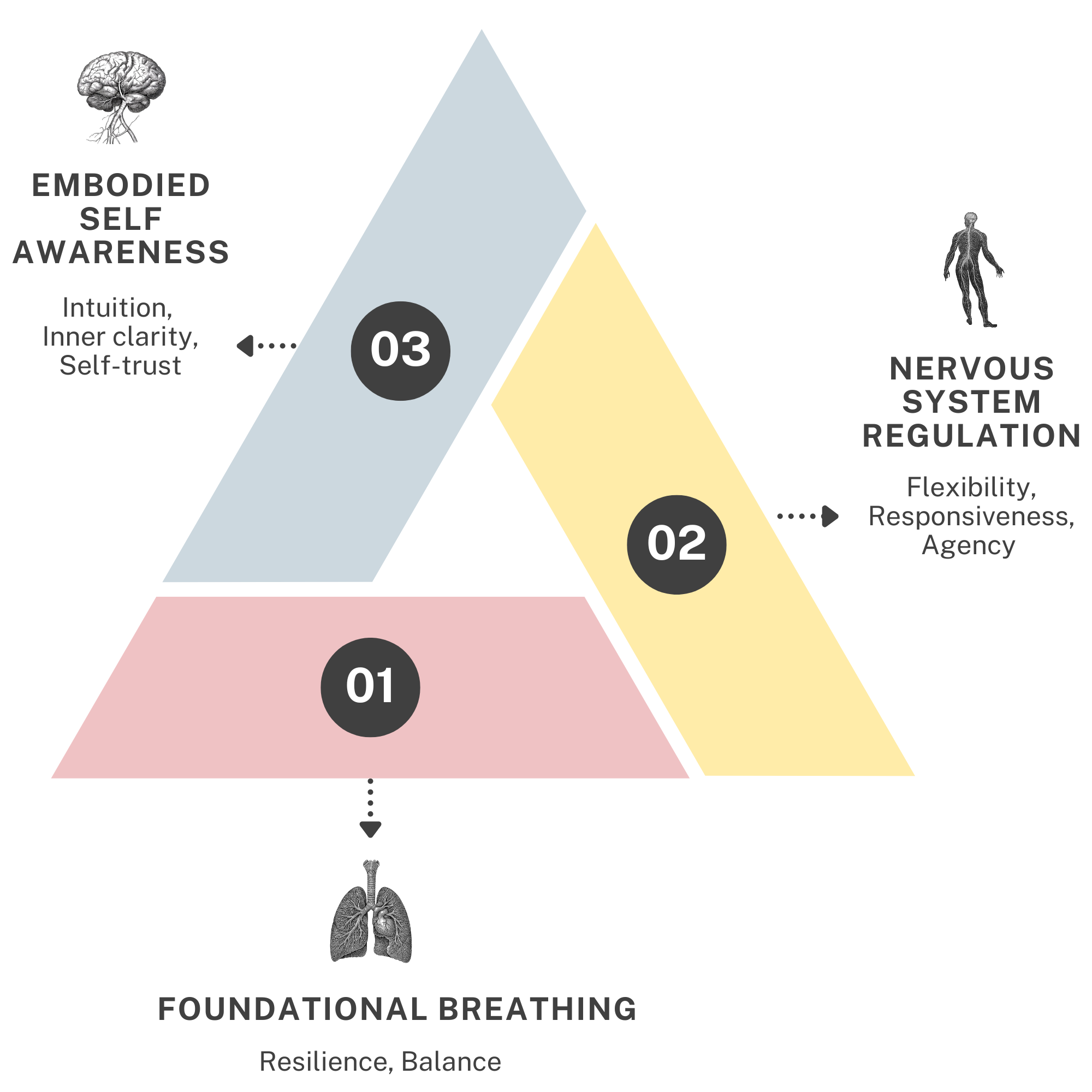 The Nervous System Potential Framework COPYRIGHT Charlotte Grysolle 2