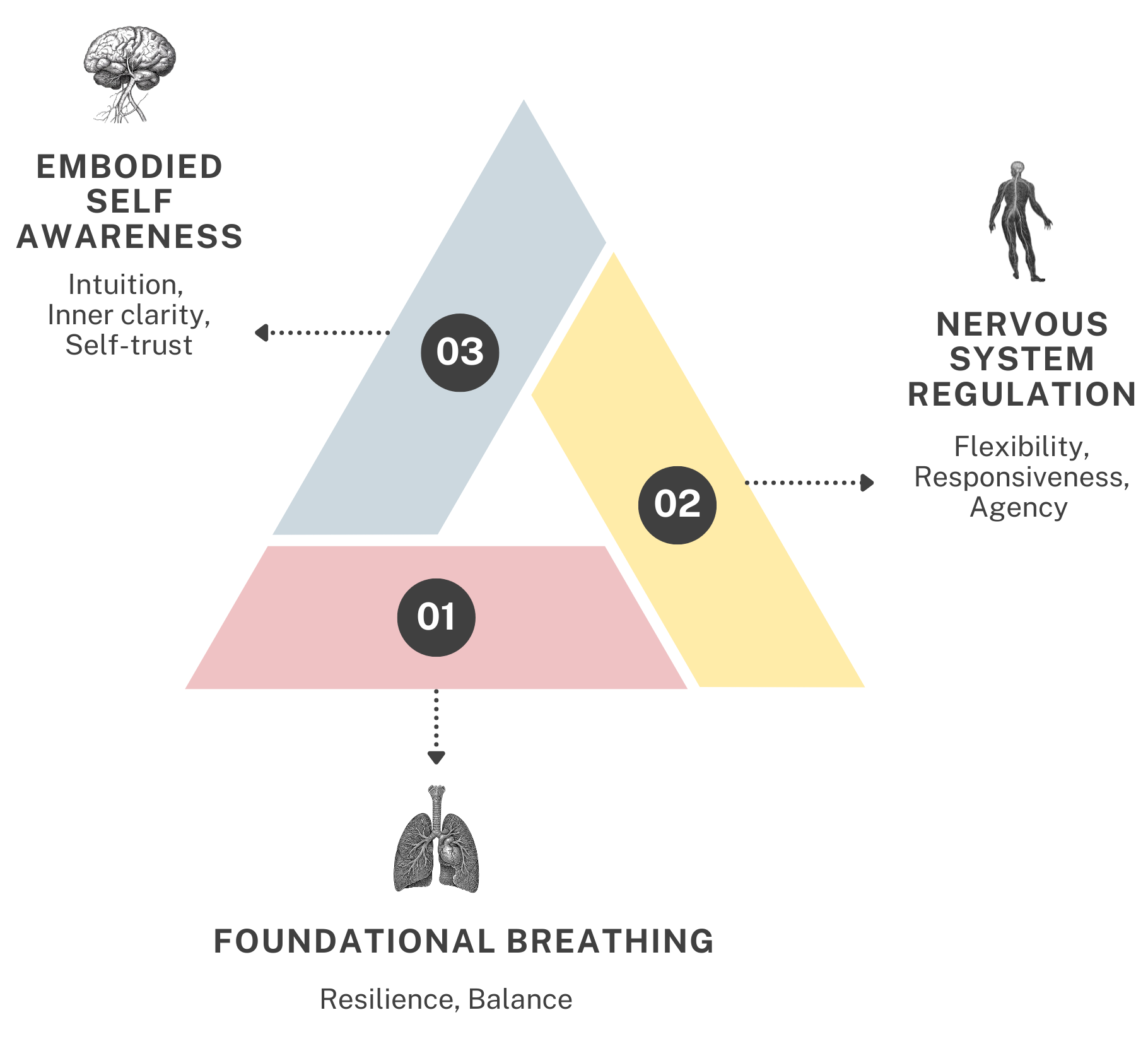 The Nervous System Potential Framework COPYRIGHT Charlotte Grysolle