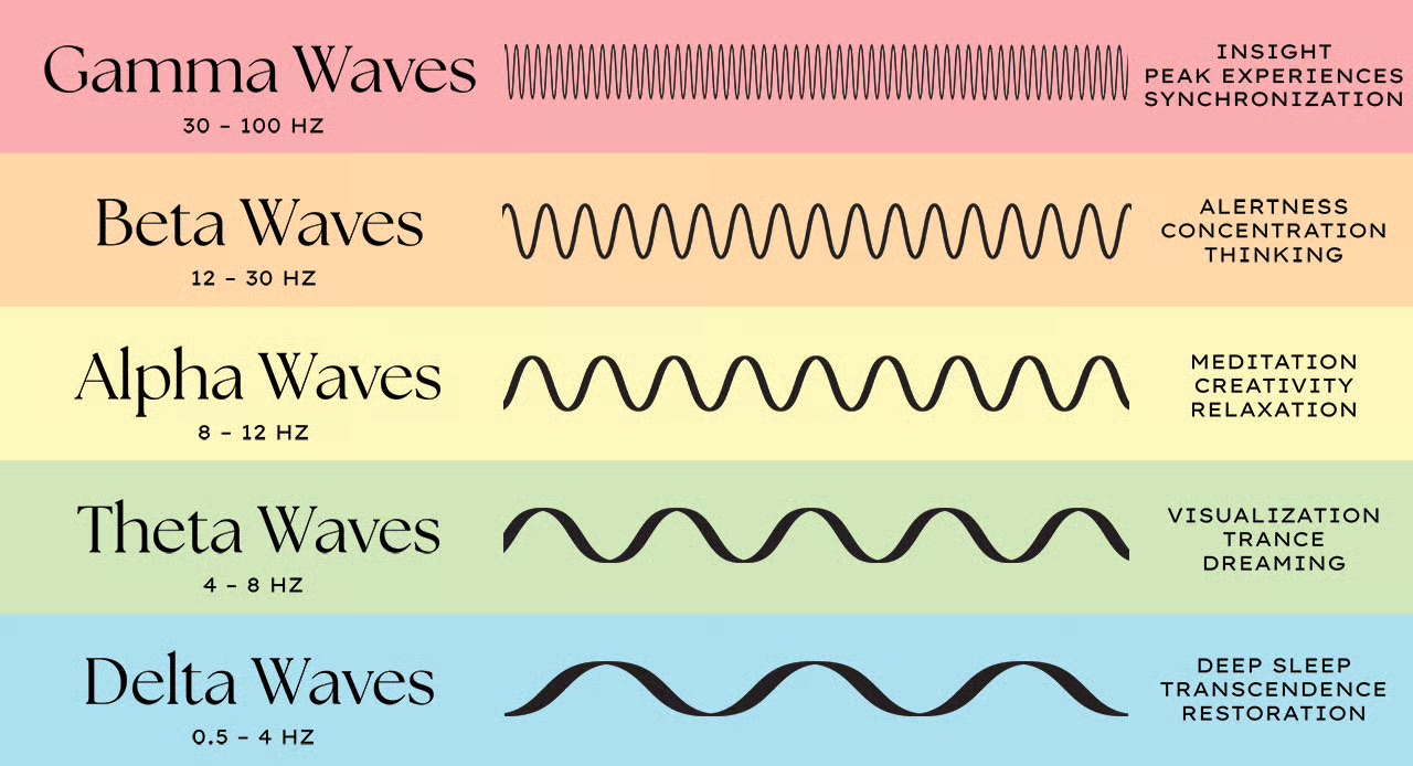 5 types of brain waves
