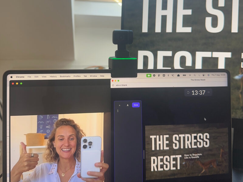 The Stress Reset Program