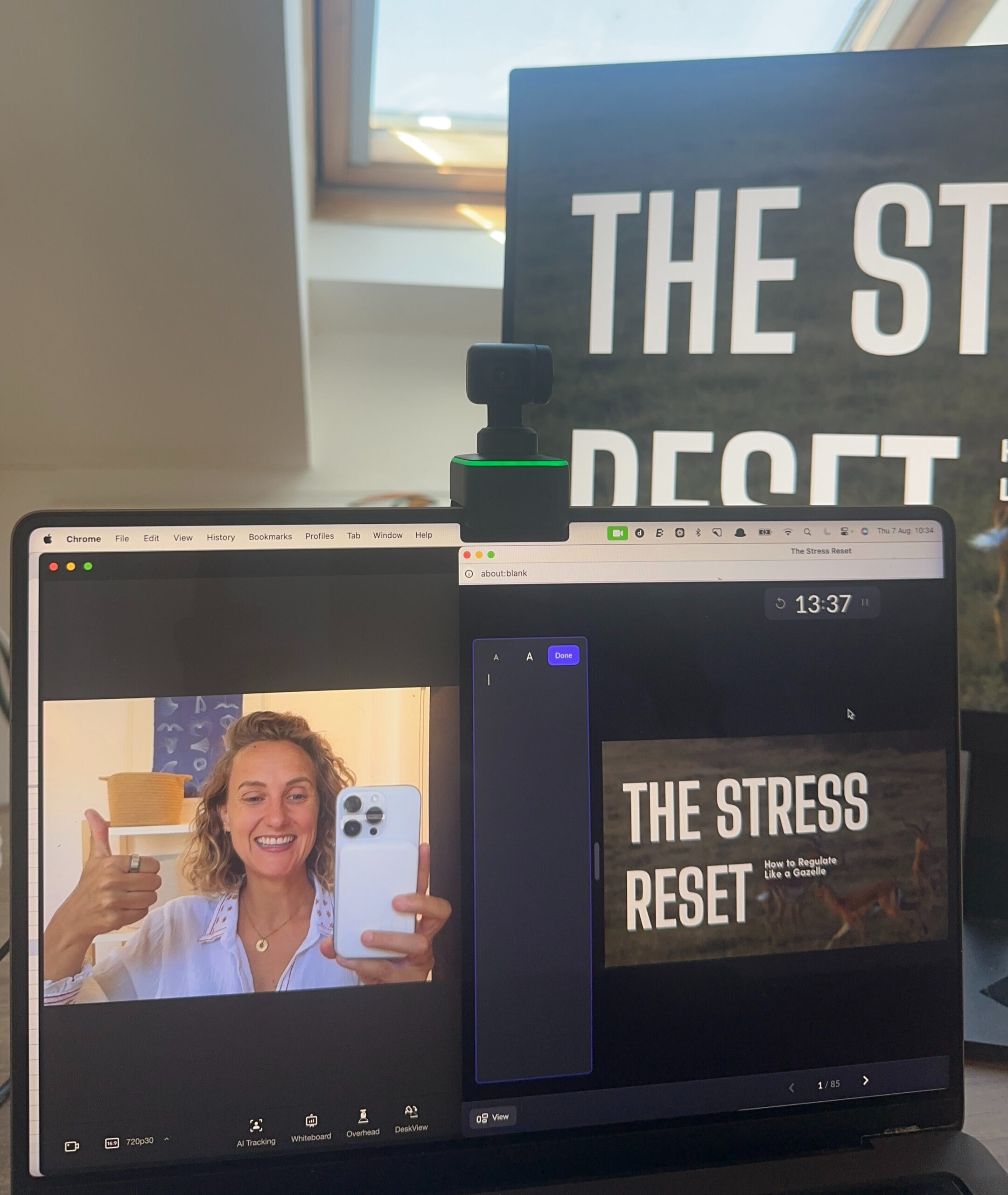 The Stress Reset Program