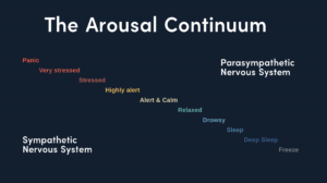 Diagram of the arousal continuum from panic to freeze, mapping sympathetic and parasympathetic nervous system states