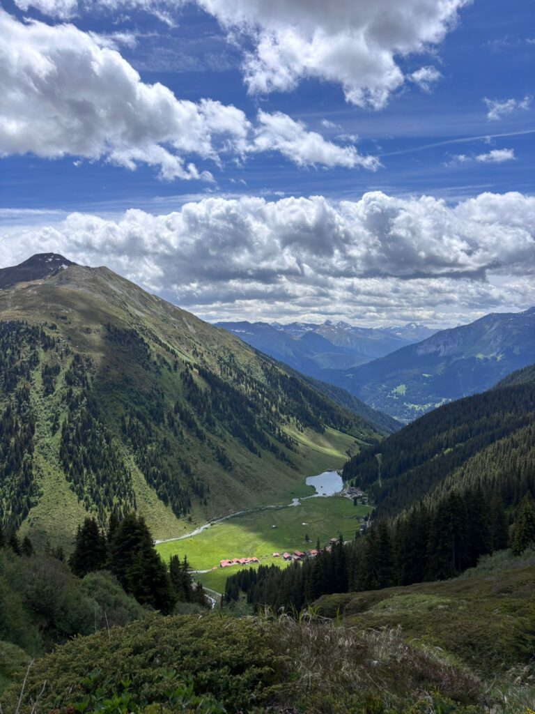 Alps Mountain View for Breathwork Retreat Charlotte Grysolle